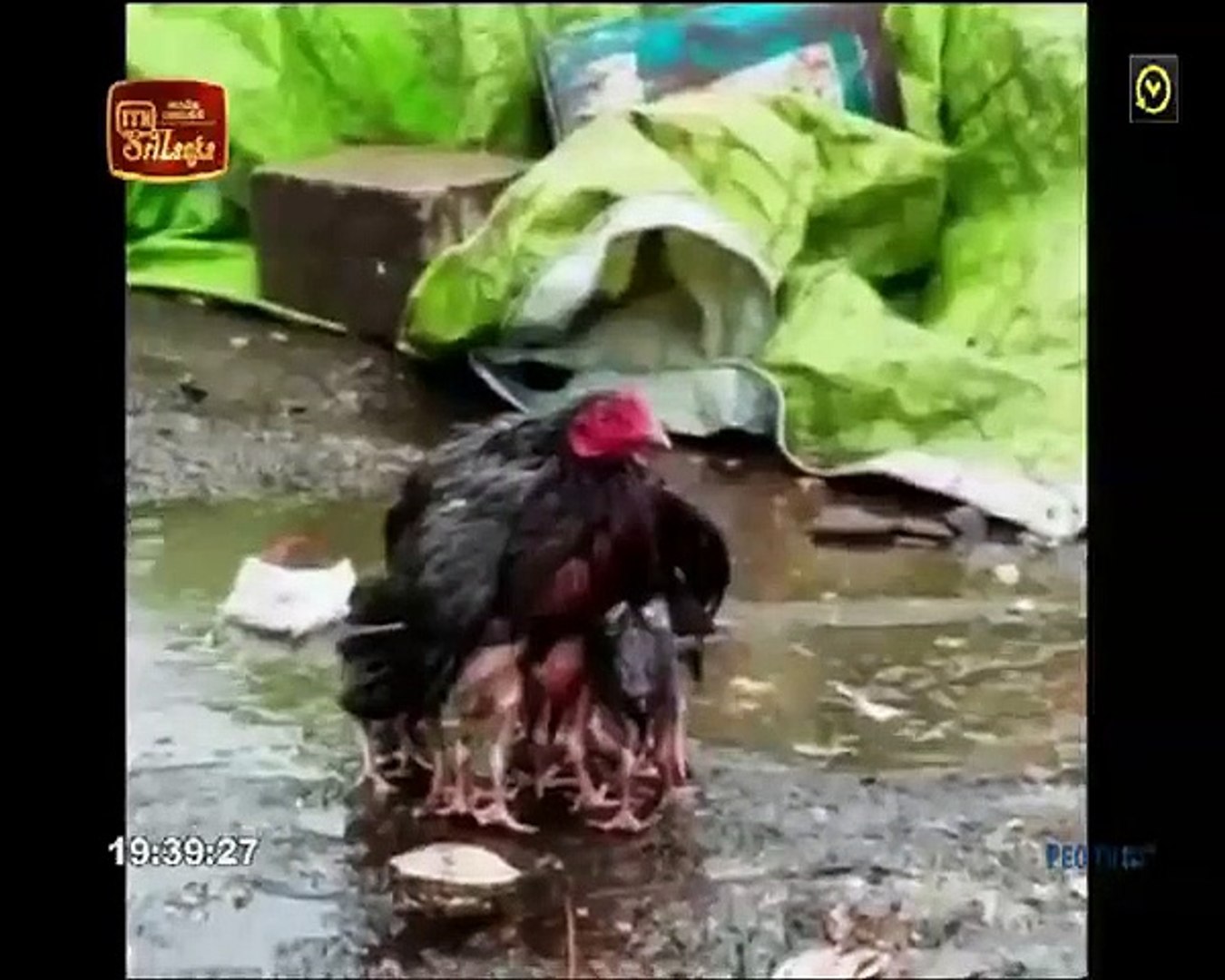 Atapattama 2020.07.22