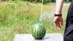 YouTuber shatters watermelon into thousands of pieces with fireworks