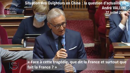 André Vallini : question d'actualité du 22 juillet 2020