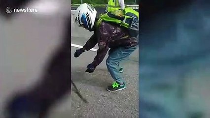 Injured monkey rescued by passing police after being hit by car in Malaysia