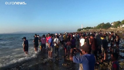 Riesiger, toter Wal angeschwemmt