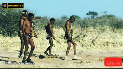 "বুশম্যান" _কালাহারি মরুভূমির দুর্ধর্ষ উপজাতি দেখুন কিভাবে বাঘের মুখ থেকে শিকার কেড়ে নেয় 
