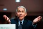 Dr. Anthony Fauci Has a Theme Song Now