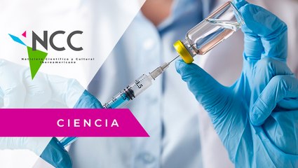 Tres can­di­da­tas a la ca­be­za por con­ver­tir­se en la pri­me­ra va­cu­na con­tra la Co­vid-19