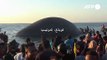 حوت نافق عملاق يجنح على الشاطئ في إندونيسيا