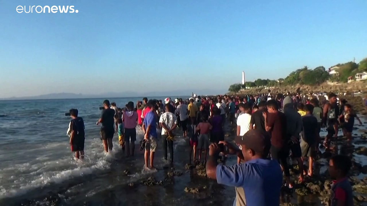 جسد نهنگ ۲۳ متری در ساحل کوپانگ در اندونزی