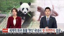 세계적 희귀 동물 '판다' 국내서 첫 자연번식 성공
