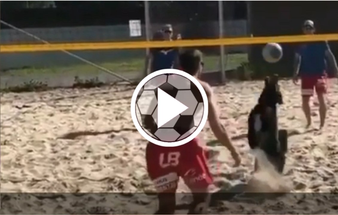 ¡Deberían incluirlo en las olimpiadas! El perro que juega (y muy bien) al vóley playa