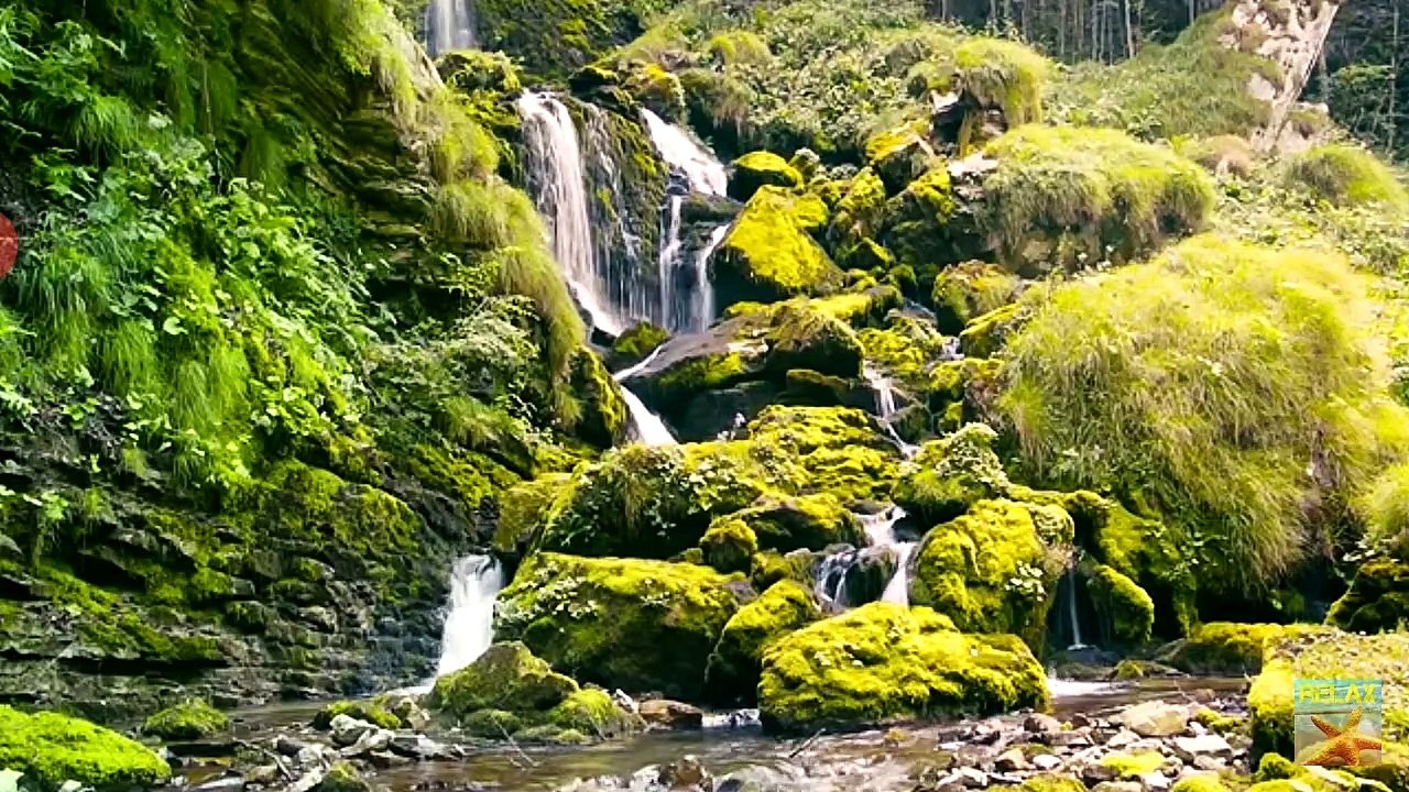 Meditation music: Relaxation and stress reliever music , healing sounds