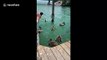 Cheeky pelican takes a bite out of Florida woman's bottom and steals fish