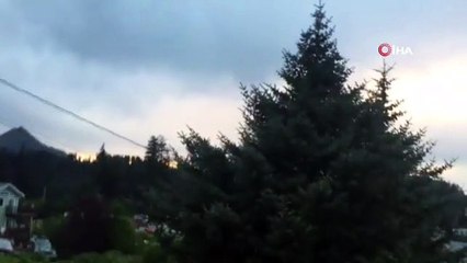 Alaska'nın Kodiak şehrinde deprem sonrası siren sesleri duyuldu