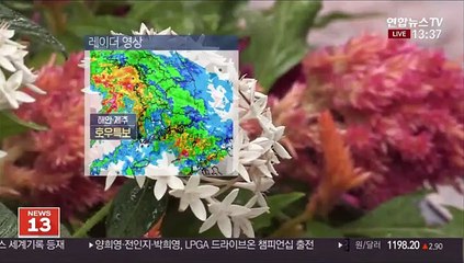 [날씨] 모레까지 250㎜ 이상 큰비…호우특보 확대