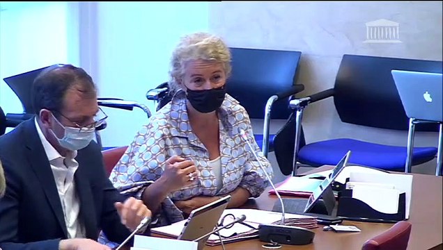 Impact, gestion et conséquences de l’épidémie du Covid 19 : M. Christophe Lannelongue, ancien dg de l’ARS Grand Est ; Table ronde réunissant des syndicats de biologistes médicaux libéraux - Mercredi 22 juillet 2020