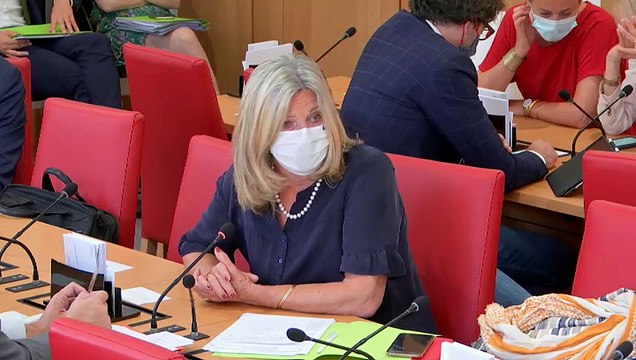 Commission des lois : M. Jean-Luc Nevache, président de la Commission nationale d’accès aux documents administratifs ; Conclusion de la mission d'information sur les baux ruraux - Mercredi 22 juillet 2020