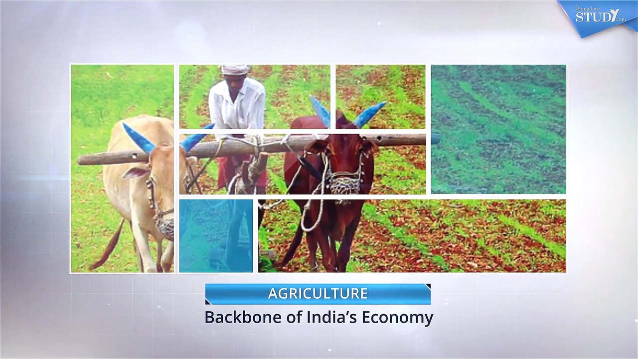 Top Agriculture college in Bangalore