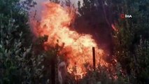 Manavgat'ın Yaylaalan mahallesinde başlayan orman yangını, günün ağarmasıyla havadan yapılan müdahalelerle kontrol altına alınmaya başlandı.