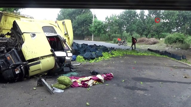 Biber yüklü tır TEM’de köprüden uçtu: 2 yaralı