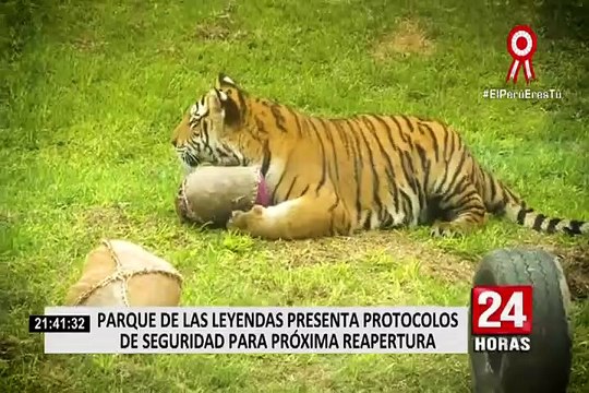 San Miguel: Parque de las Leyendas presentó su protocolo de bioseguridad