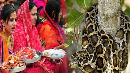 Hariyali Teej 2020: हर‍ियाली तीज पर सुहाग‍िनें करेंगी ये काम तो अगले जन्‍म बनेंगी अजगर-सांप। Boldsky