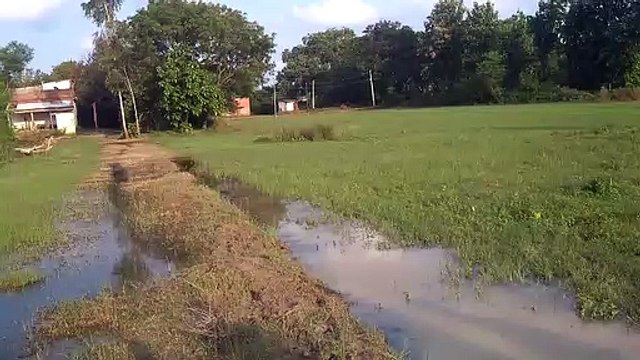 अम्बेडकरनगर- असहाय पीड़ित दर दर भटकने पर मजबूर