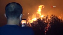 Antalya'da gece başlayan yangında 5 hektarlık ormanlık alan zarar gördü