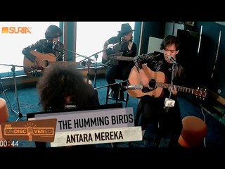 UNDISCOVERED | THE HUMMING BIRDS - Antara Mereka ( Single)