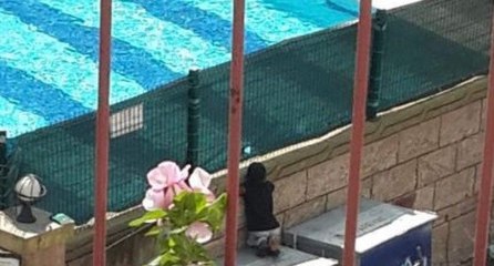 O kağıt toplayıcı çocuğa sürpriz