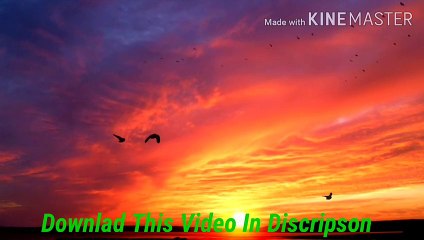 Very nice morning.Good day.Nice bird