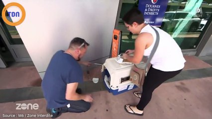 Zone interdite : Cette séquence d'un chien qui suffoque à cause de la chaleur choque les téléspectateurs !