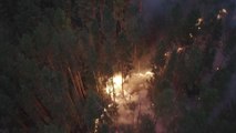 Months of fires in Siberia, Russia have scorched area larger than Greece