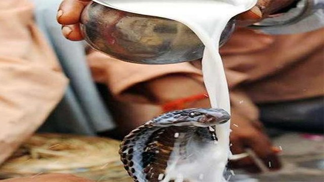 Nag Panchami 2020 : नाग पंचमी 2020 कब है? नाग पंचमी तिथि। Nag Panchami Date। Boldsky