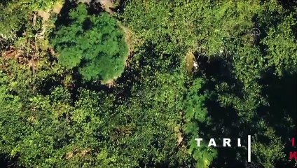 Zonguldak'ta 'drone' destekli uyuşturucu operasyonunda yakalanan 6 şüpheliden 4'ü tutuklandı