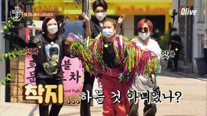 서울 한복판에 나타난 ′나래 공작새′ㅋㅋㅋㅋㅋㅋ