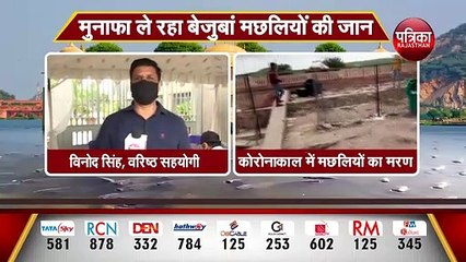 मुनाफा ले रहा बेजुबां मछलियों की जान