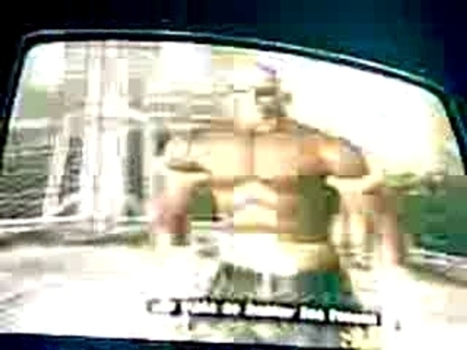 dead or alive 3 jann lee