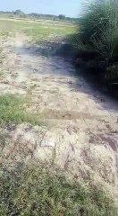 दबंगो का कहर, जबरन किया खलियान व चकरोड़ में कब्जा