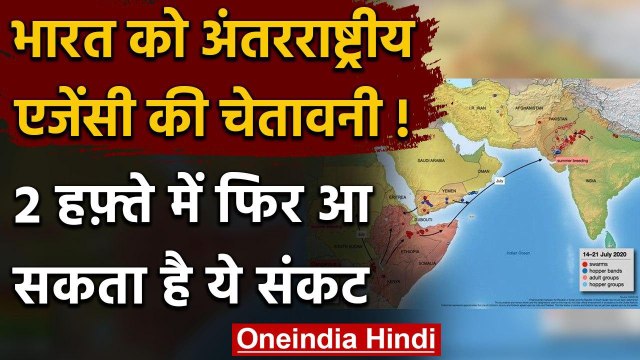 Locust Attack: अंतरराष्ट्रीय एजेंसी का दावा, India पर फिर होगा टिड्डियों का हमला | वनइंडिया हिंदी