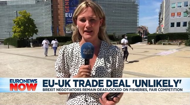 Brexit: UK-EU trade deal looking unlikely, says Michel Barnier