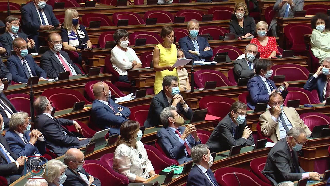 22.07.2020 - Catherine Procaccia interroge le Ministre des Solidarités et de la Santé.