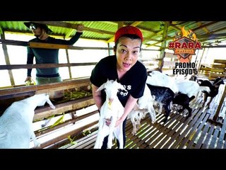 Promo Episod 5 #RARAWARRIOR
