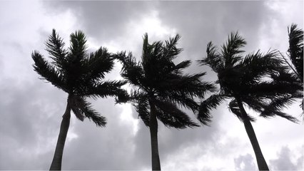 Tropical Storm Gonzalo Picks Up Speed And Strength
