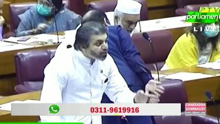 PTI Minister Ali Muhammad Khan Big Speech In National Assembly || Charsadda Journalist