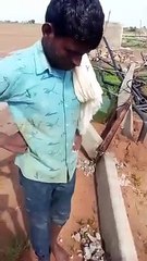 तेज हवाओं के साथ एक घंटे हुई बारिश ने मचाई तबाही