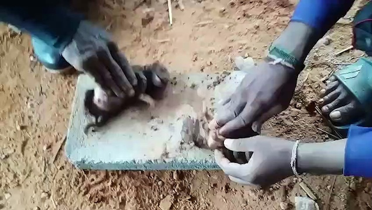 Two drowned puppies save by workmen with CPR