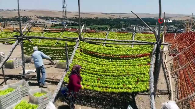 Gastronomi kenti Gaziantep kırmızıya boyandı