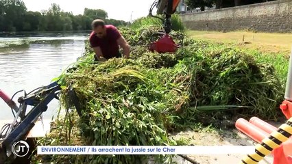 Le journal - 23/07/2020 - GROGNE / Des avions et des nuisances à Rochecorbon