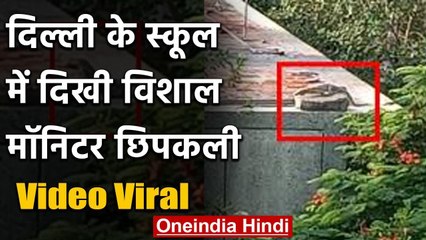 Viral Video :दिल्ली के स्कूल में दिखी विशाल मॉनिटर छिपकली, फोटो हुई वायरल | वनइंडिया हिंदी