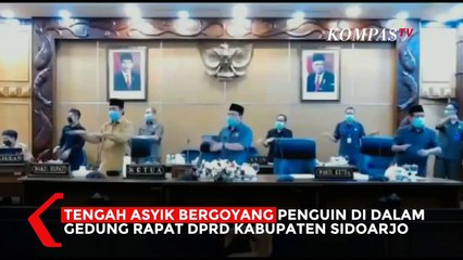 Viral! Anggota DPRD Asyik Goyang Penguin