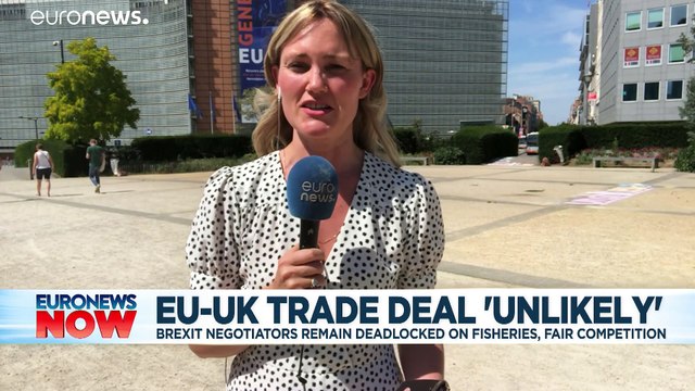 Brexit: UK-EU trade deal looking unlikely, says Michel Barnier