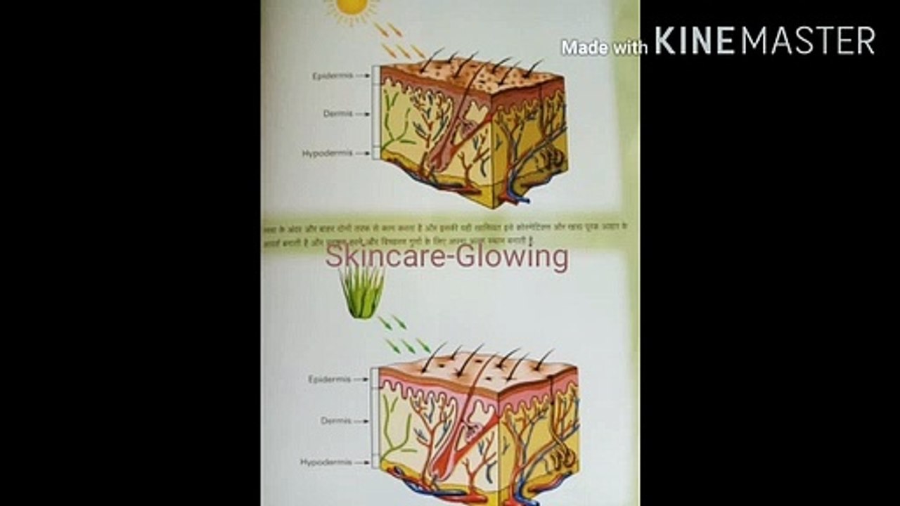 Anty Bacterial/Viral- AloeVera